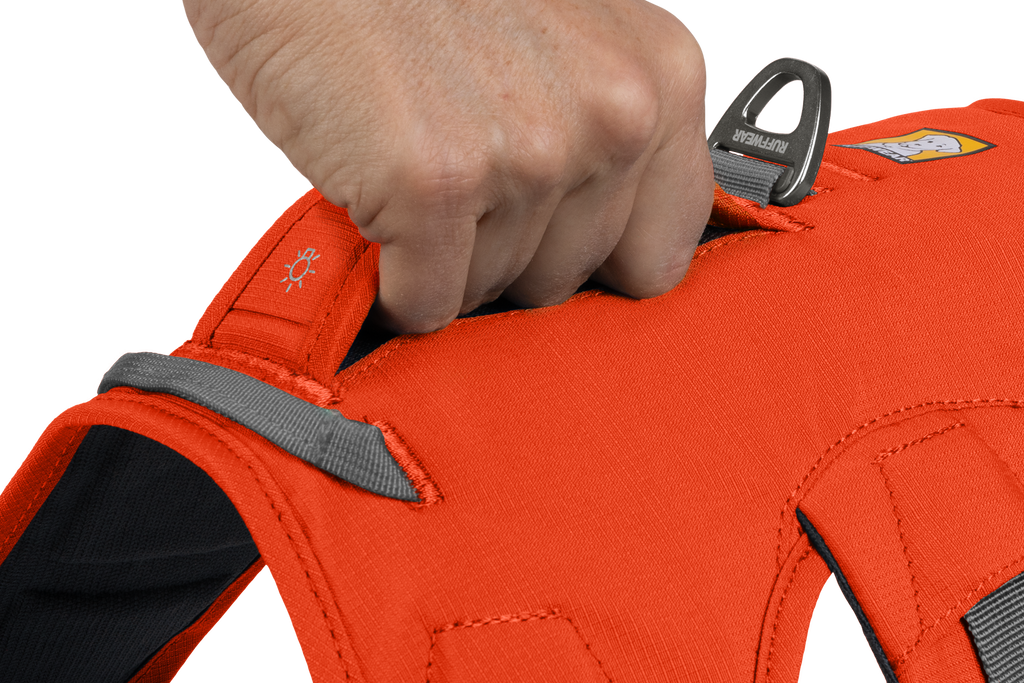 Web Master™ Dog Harness