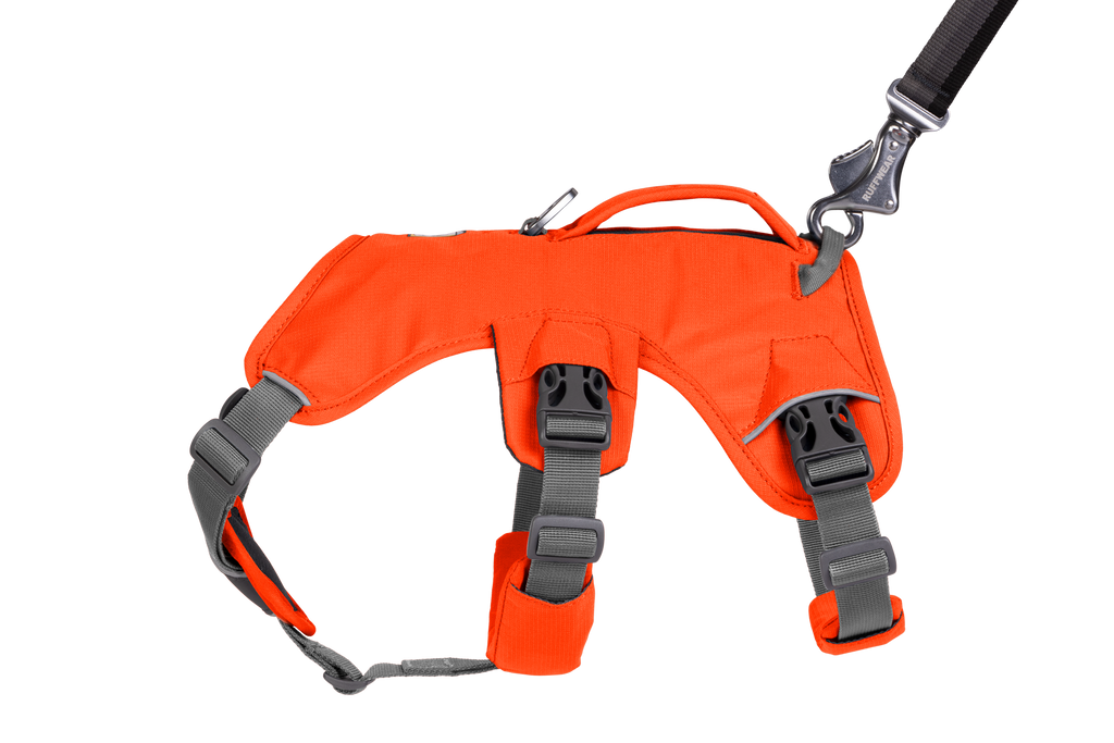 Web Master™ Dog Harness