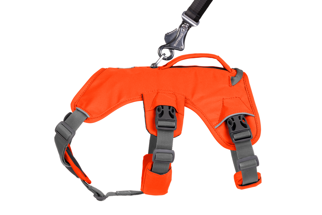 Web Master™ Dog Harness