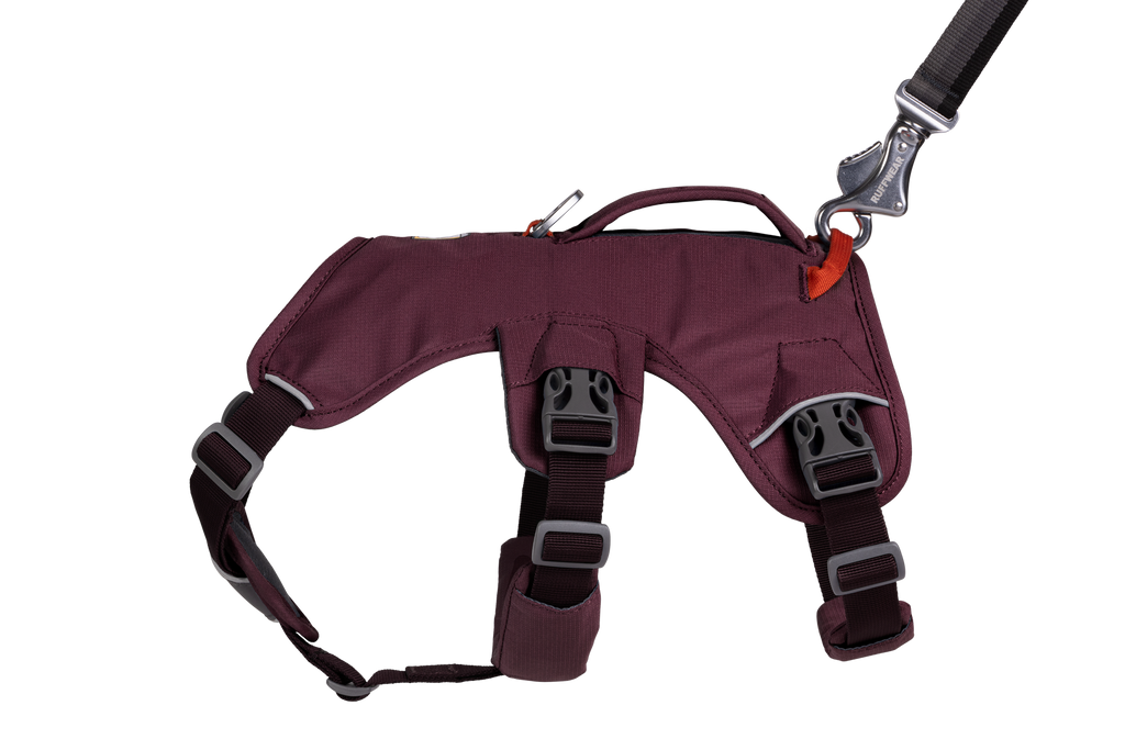 Web Master™ Dog Harness