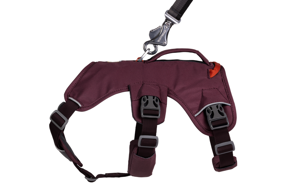 Web Master™ Dog Harness