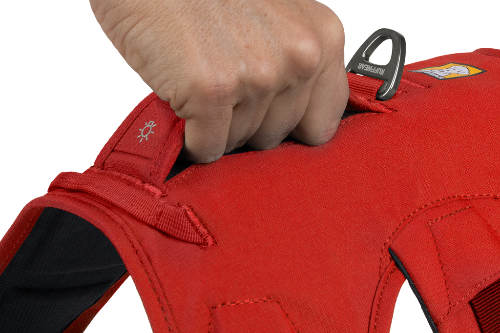 Web Master™ Dog Harness