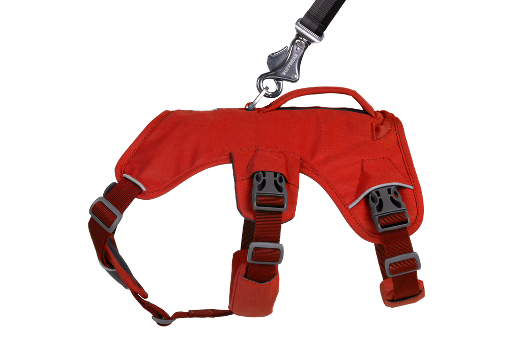 Web Master™ Dog Harness