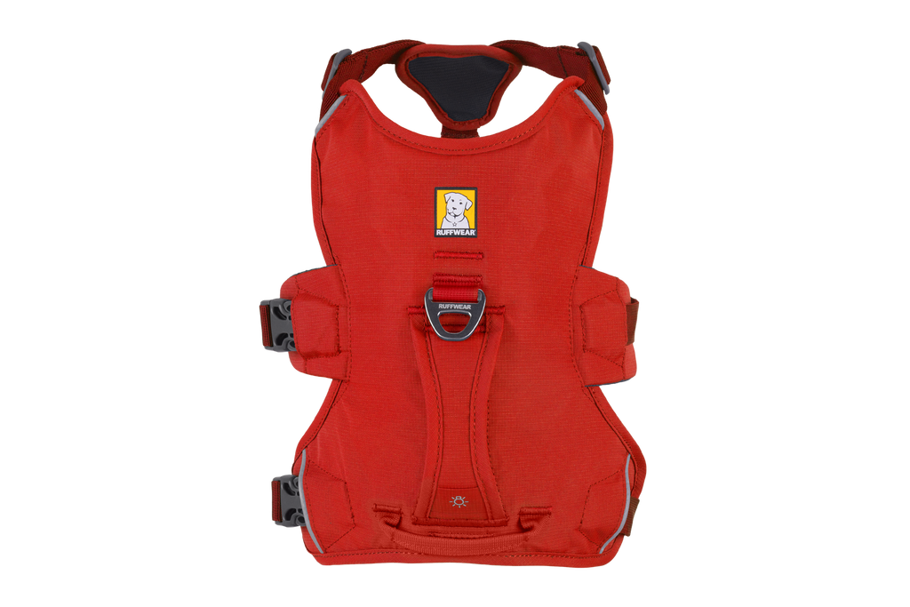 Web Master™ Dog Harness