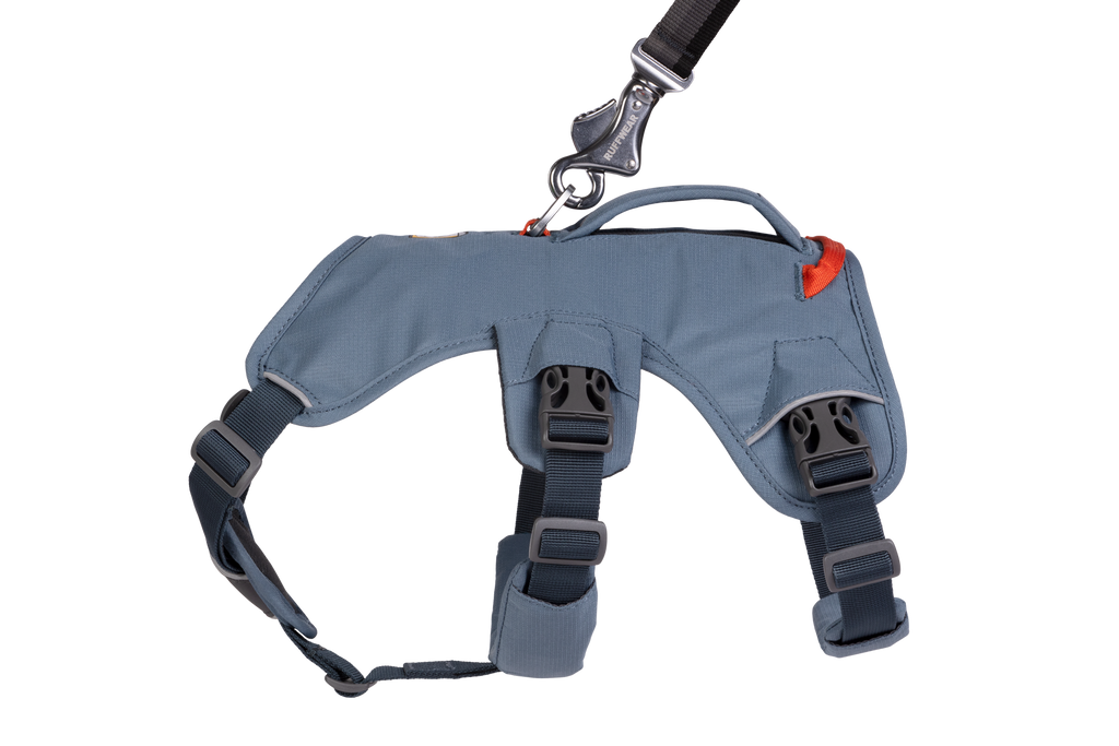 Web Master™ Dog Harness