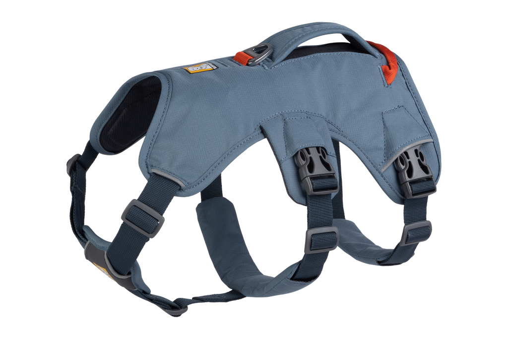 Web Master™ Dog Harness