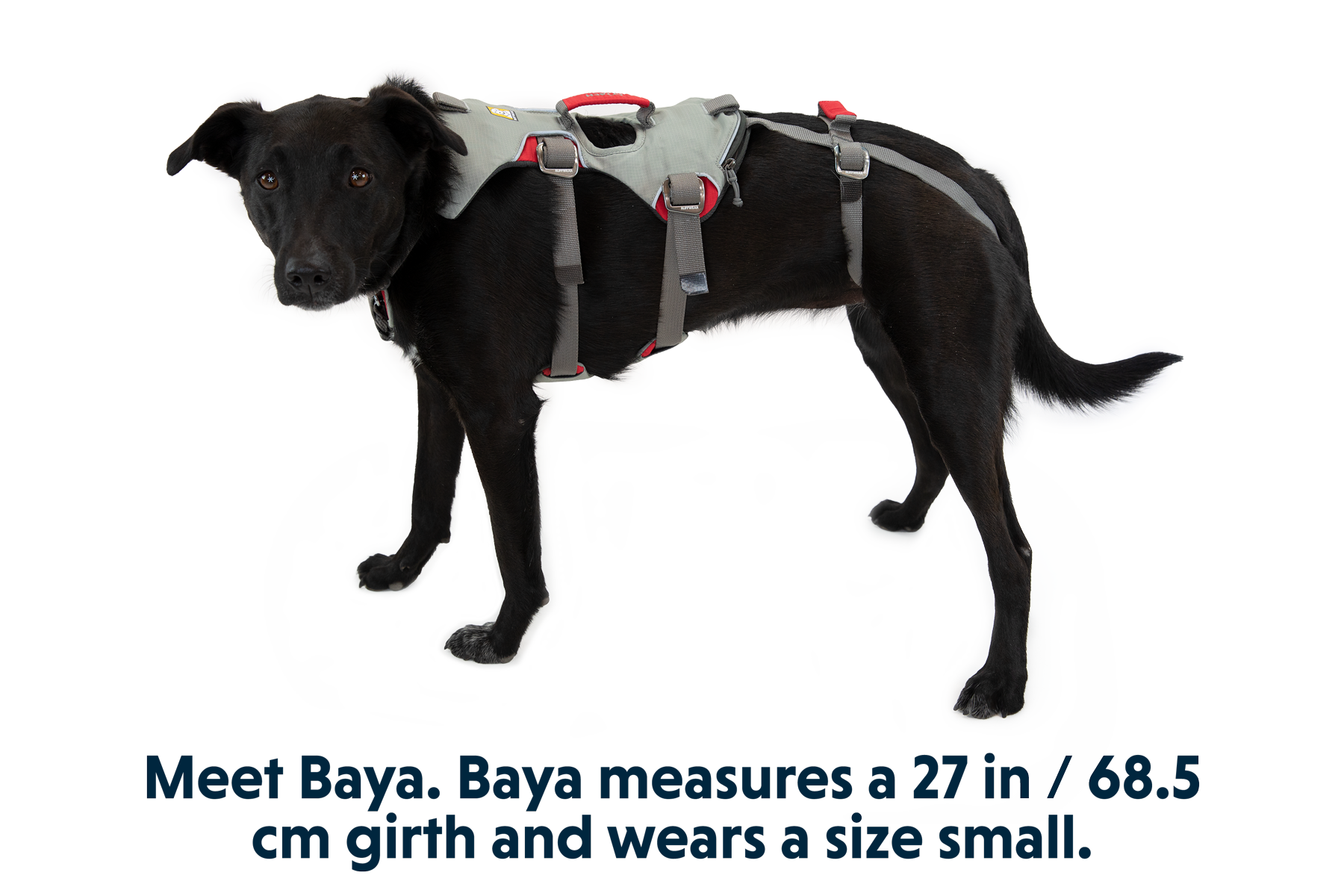 Doubleback™ Full Body Dog Harness
