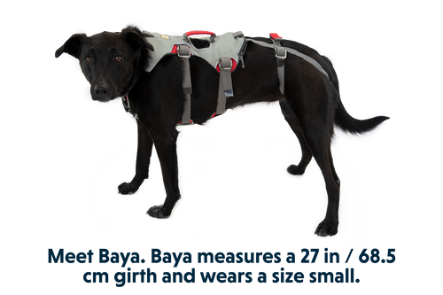 Doubleback™ Full Body Dog Harness