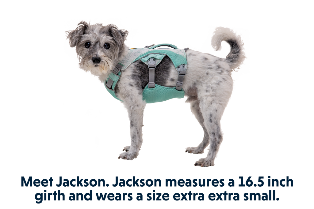 Swamp Cooler™ Dog Cooling Harness