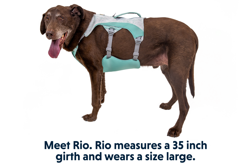 Swamp Cooler™ Dog Cooling Harness