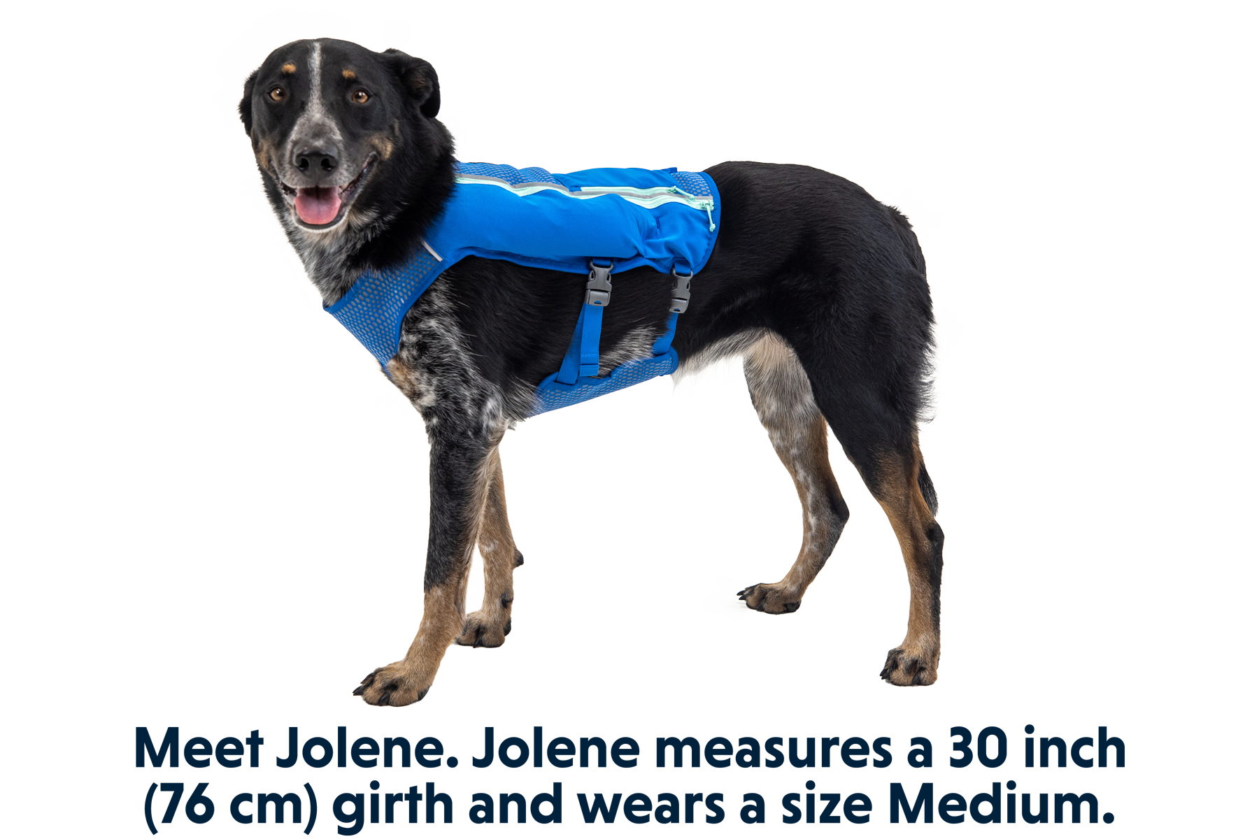 Trail Runner™ Dog Running Vest