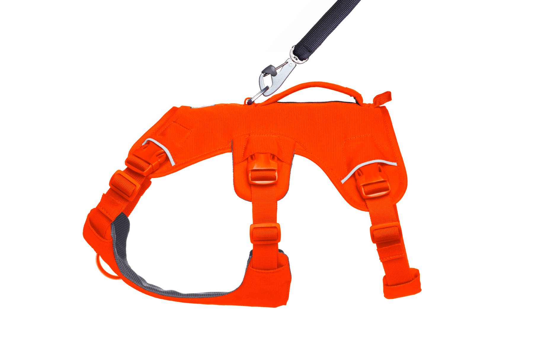 Web Master™ Dog Harness with Handle