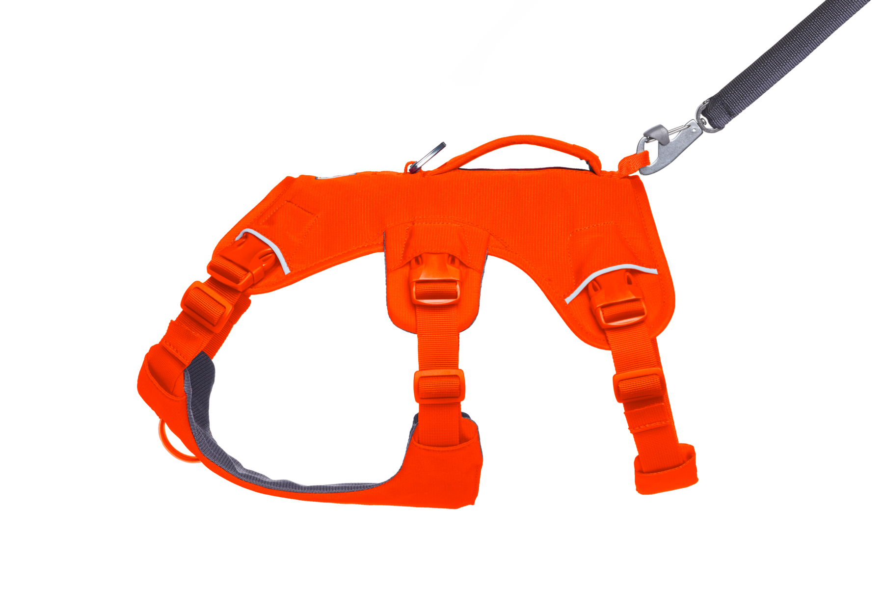 Web Master™ Dog Harness with Handle