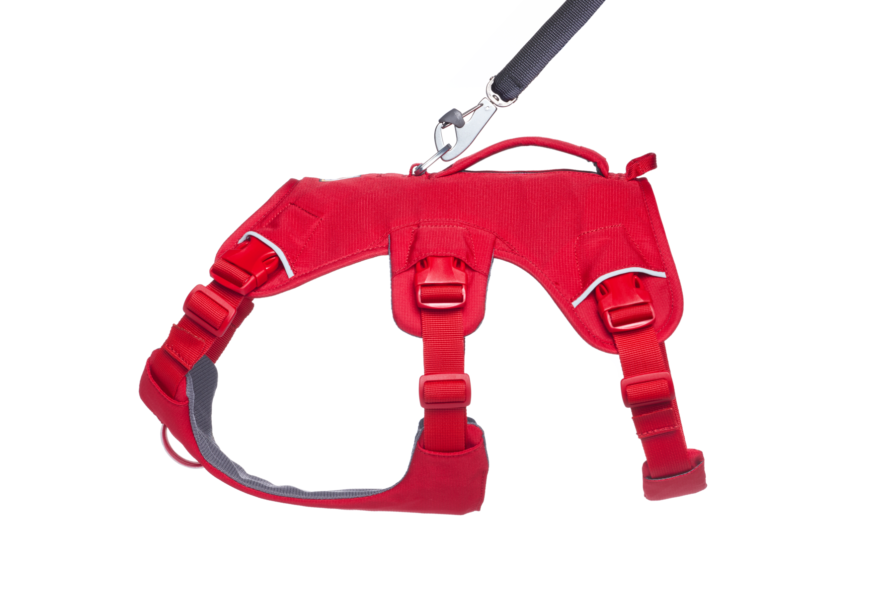 Web Master™ Dog Harness with Handle