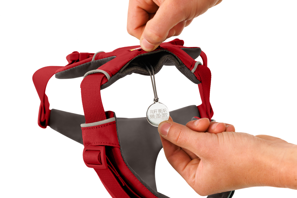 Front Range® Dog Harness